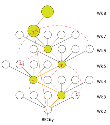 Overview of the course family